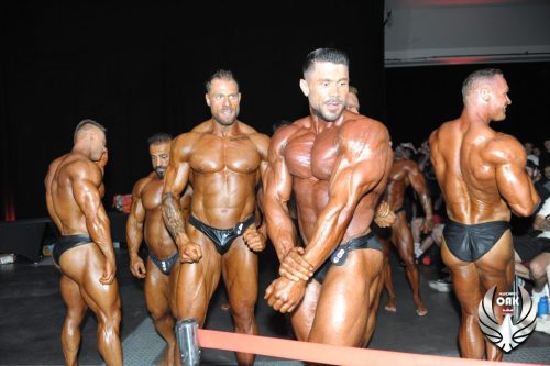 2025 Austrian OAK - Impressions - PQ & Pro