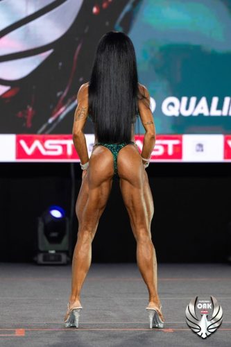 228 photo-by-Josef-Adlt-8860