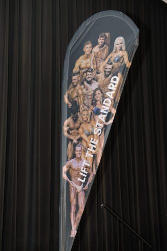 DSC 3004